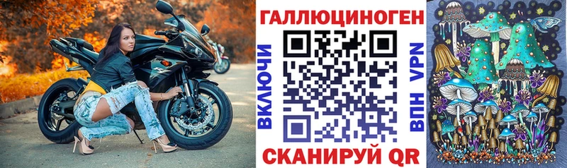 Купить где  Лодейное Поле  Псилоцибиновые грибы GOLDEN TEACHER 